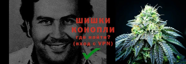 прущая мука Пересвет